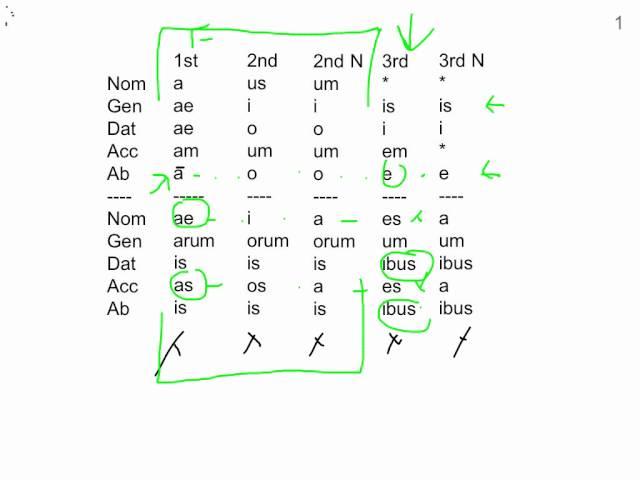 Latin Noun Adjective Agreement