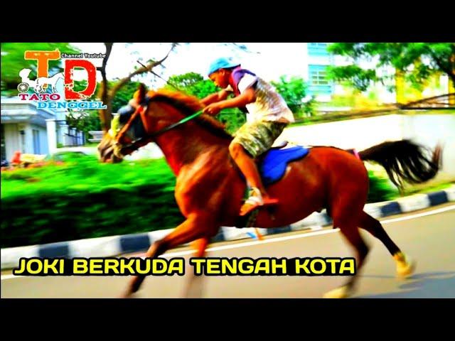 Joki Toni Berkuda Tengah KOTA METROPOLITAN Lincah Gesit - Horse Riding - tato denggel