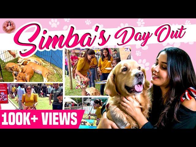 A Day Out with Simba at the Pet Gala: Our Journey at the Show | Aishwarya Shindogi