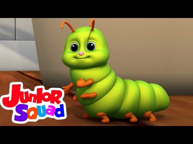 Bugs Bugs lagu | Kartun pendidikan anak | Video edukasi | Junior Squad Indonesia | Bayi sajak
