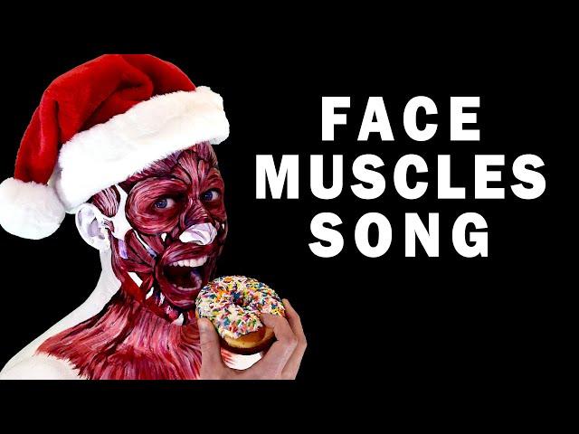 MUSCLES OF FACIAL EXPRESSION AND MASTICATION SONG