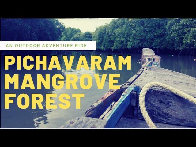 Pichavaram Mangrove Forest - Republic Day Ride[RedxXxploitz]