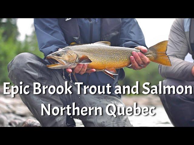 Epic Brook Trout and Atlantic Salmon