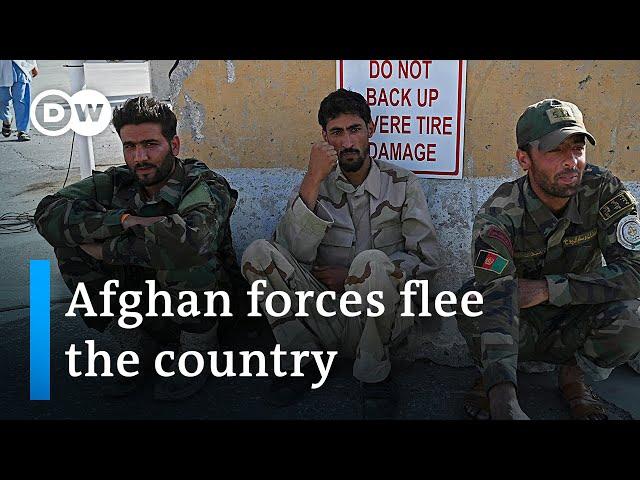 Afghan troops flee to Tajikistan as Taliban advance | DW News