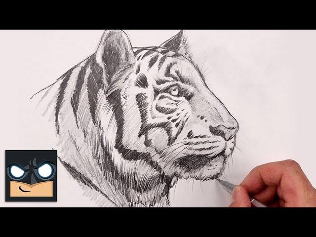 How To Draw White Tiger | Sketch Tutorial