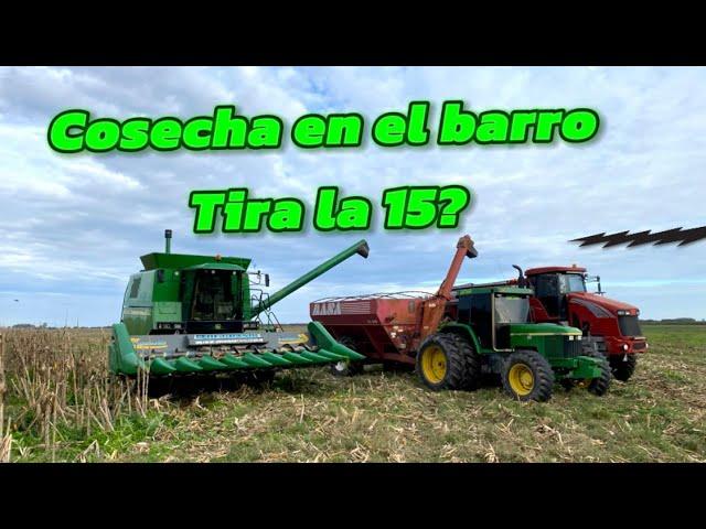 COSECHANDO MAÍZ CON BARRO (AgroRan)