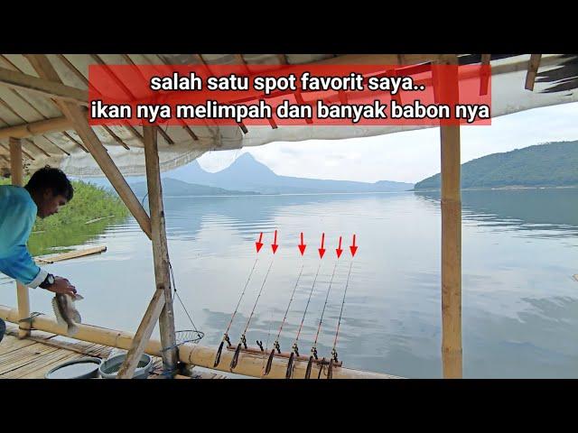 Mancing jatiluhur//udah lama gak mancing ke spot ini..te nyangka, ternyata ikan nya...!!!