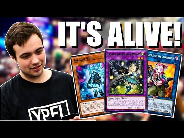 New TCG Banlist Runick Spright Deck Profile & Combos!