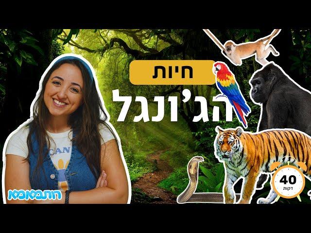 חיות הג'ונגל לקטנטנים  - למידה מהנה ומלאת הרפתקאות | תכנים לילדים | חיות לילדים