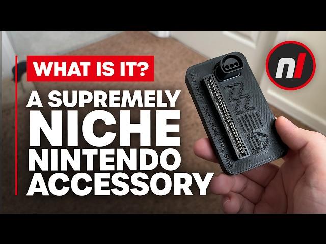 A Very Unusual Nintendo Accessory