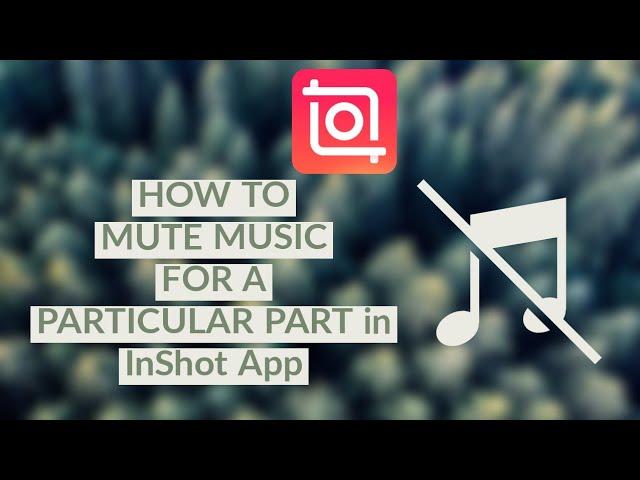 How to Mute Music For a Particular Part in InShot App