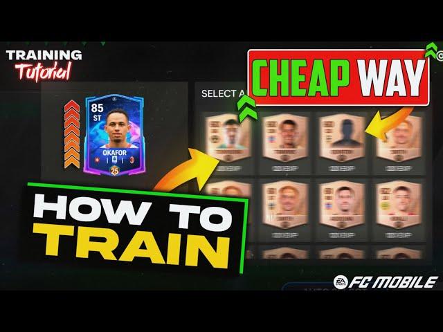 Easiest Way to Find Cheap XP Card to Train Your Player | Player TRAINING Guide | FC Mobile