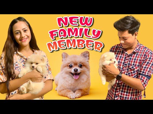 রাকিব হোসেন পরিবারের নতুন সদস্য | Our New Family Member | Rakib Hossain | Ritu Hossain