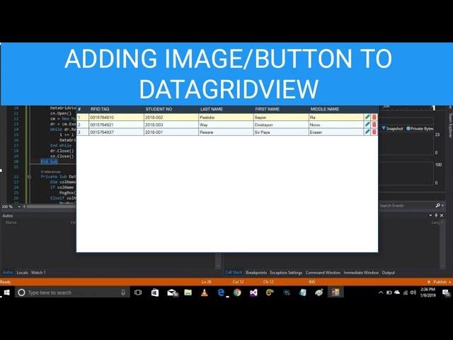 How To Add Image or Button In DataGridView  Column
