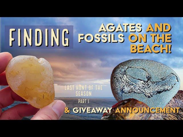 Finding Agates and Fossils: On the Oregon Coast (Last Hunt of the Season part 1) #thefinders