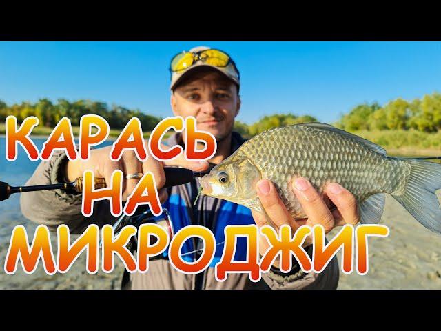 КАРАСЬ на МИКРОДЖИГ!!! Карась жрал пассивные приманки, СУПЕР рыбалка!!!