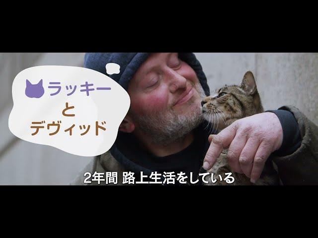 7/28（金）公開『猫と、とうさん』予告編