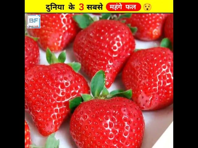 दुनिया के 3 सबसे महंगे फल  || Amazing Video About Fruits #shorts #youtubeshorts