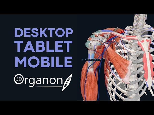 Meet 3D Organon: For Desktop, Tablet and Mobile