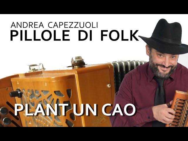 PILLOLE DI FOLK: Plant un cao - Andrea Capezzuoli