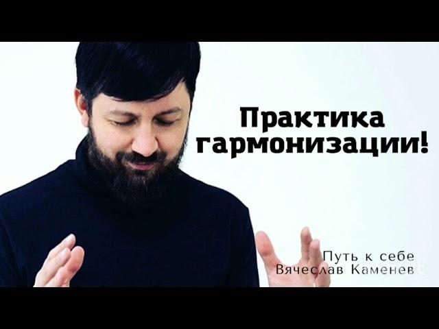 Практика "Гармонизации"  Вячеслав Каменев (Мир, Единство и Любовь )