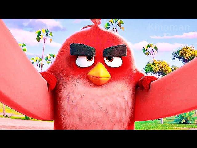 The Angry Birds Movie 3 — Teaser Trailer