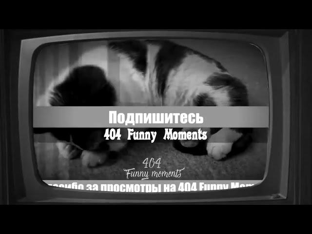 Заставка 404 Funny Moments