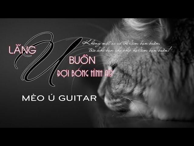 Những Bản Độc Tấu Guitar Hay Nhất Của Mèo Ú Phần 1 •「Guitar Solo」