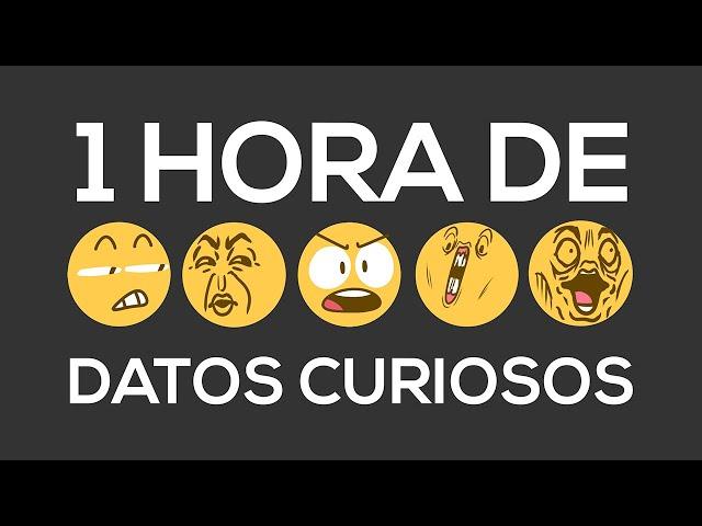 1 HORA DE DATOS CURIOSOS! (XPRESSTV)