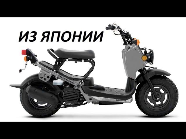 Как мы покупали Honda Zoomer из Японии!