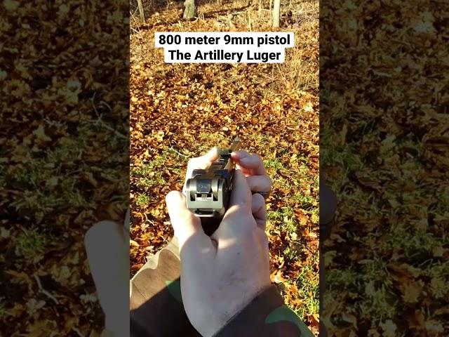 The Artillery Luger is an amazing historical 9mm WWI era pistol and carbine.