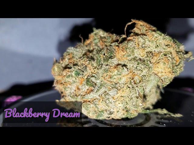 BlackBerry Dream Cannavore Ogz fireweed Diablo review legal weed