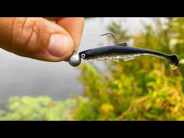 Light Lure Fishing for River Perch!