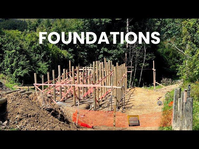 Building a 98㎡ Tree House