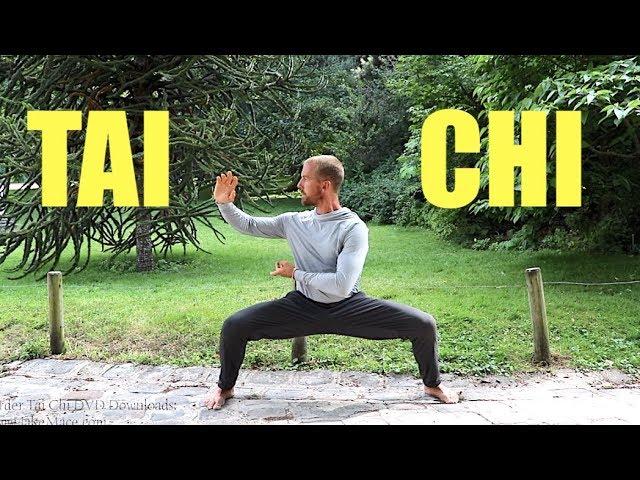 Tai Chi FREE LESSON || 20 Min Tai Chi Routine || Daily Taiji Practice