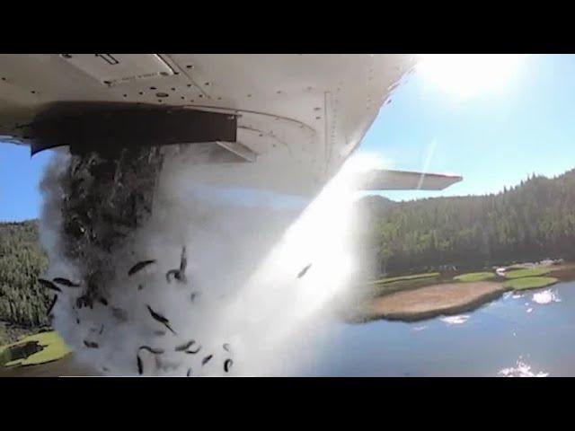 Utah Division of Wildlife Resources stocks lakes with fish via airplane drop