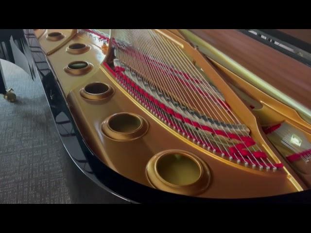 Atlantic Music Center  |  Yamaha CFX Concert Grand Piano