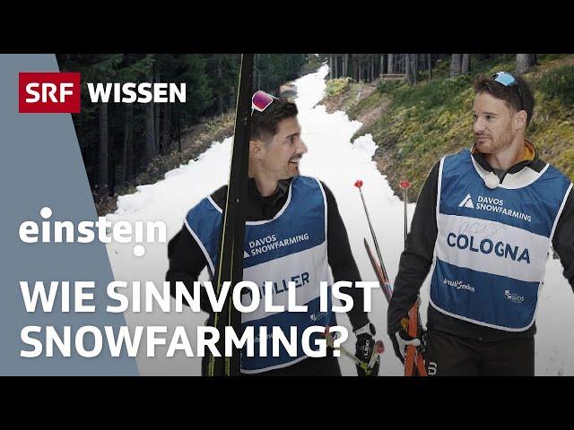 Snowfarming: Retten wir mit altem Schnee bald die weissen Weihnachten? | Einstein | SRF