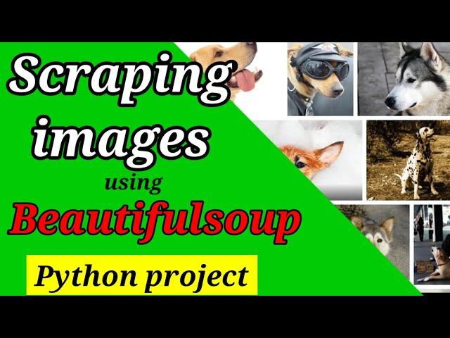 Image scraping using BeautifulSoup and Requests | Image crawler in Python | Python Projects