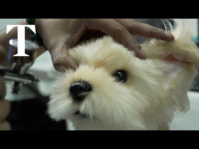 Filipino toy maker creates lifelike pet plushies for grieving owners