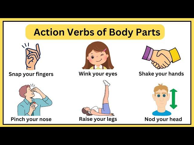 Learn action verbs of body parts in English