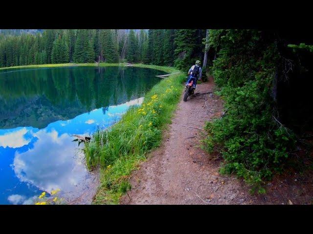 Awesome Montana Mountain Single Track