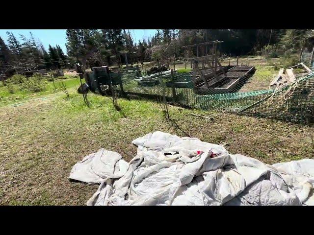 Tour Of The Homestead Gardens And Food Forest