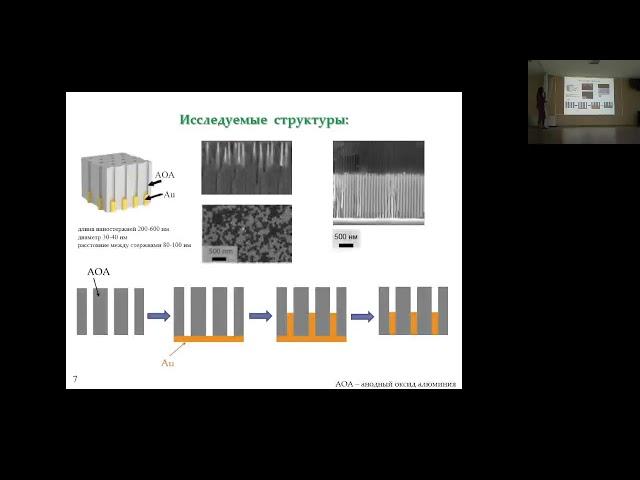 Колмычек Ирина Алексеевна "Оптика и нелинейная оптика гиперболических метаматериалов" 31/05/2023