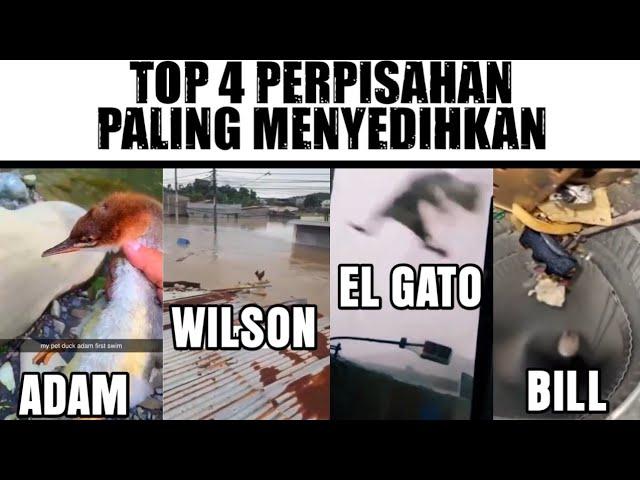 Kisah Adam, Wilson, El Gato dan Bill...