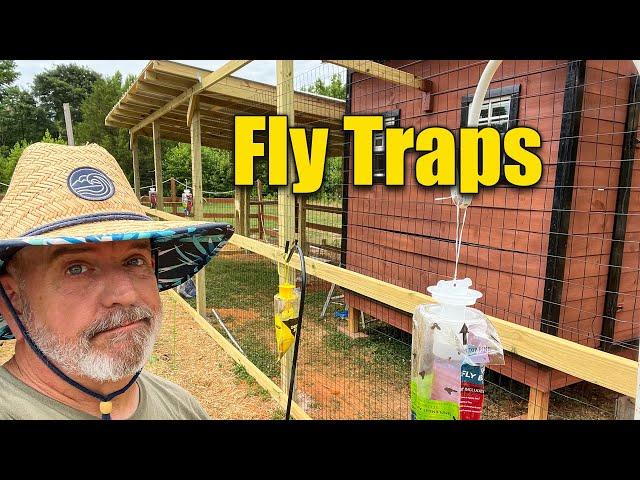 Fly Trap Bag Will the $4 Trap Work Well