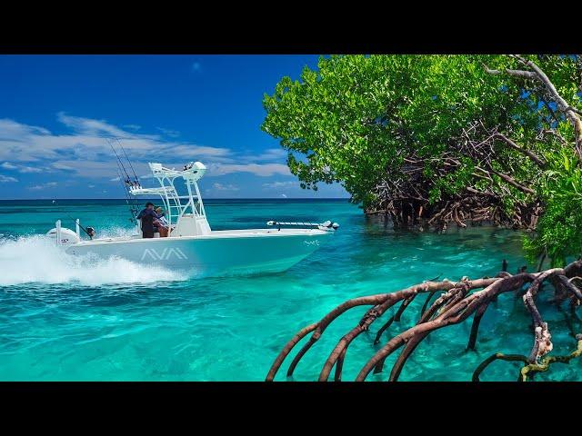 Boat Crashes into Mangroves.. Deep Sea Swordfish Mahi & Grouper