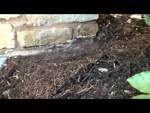 Termite Inspection Video