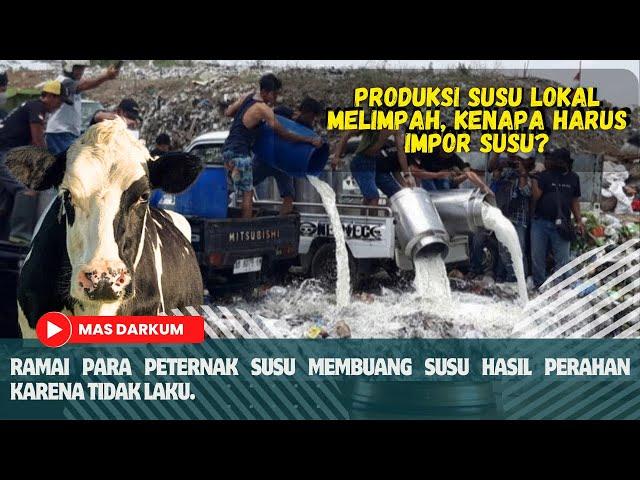 BUNTUT PANJANG PERMASALAHAN UD PRAMONO,PETERNAK MEMBUANG SUSU SEGAR HASIL PERAH #hukum #susuboyolali