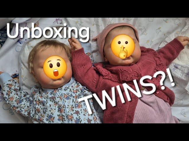 I have TWINS now?! High End Reborn UNBOXING!